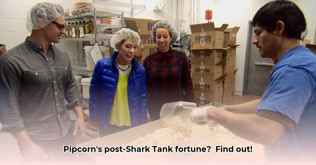 pipcorn-net-worth-forbes